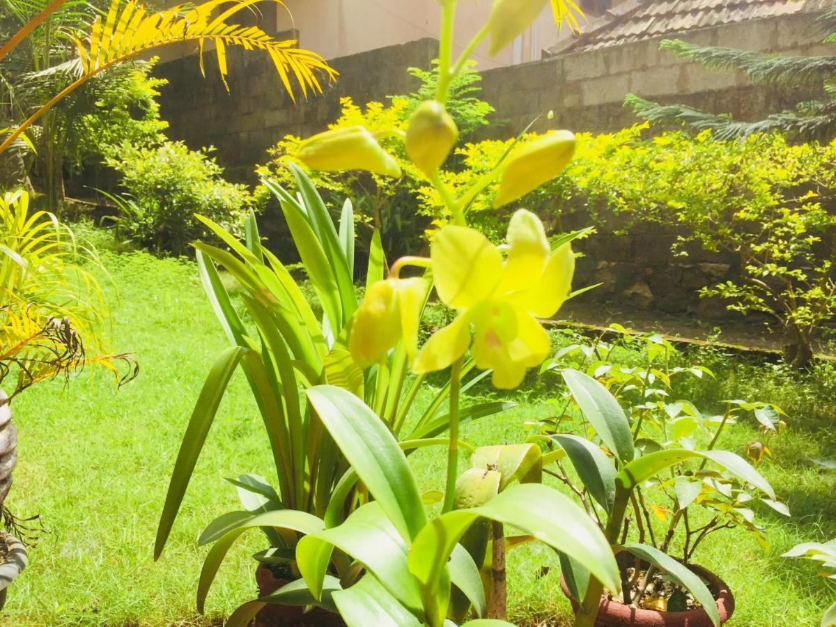 Ganesh House Ayurveda Homestay Kovalam Exterior photo